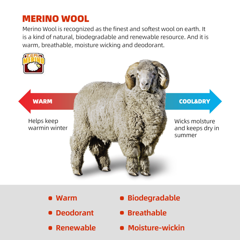 ALWOOD-Chaussettes de Course e - Wool Hiking Sock avis et prix