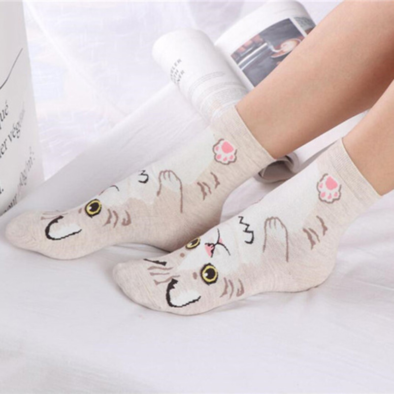 Lot de 5 paires de chaussettes - Cotton Crew Sock Pack avis et prix