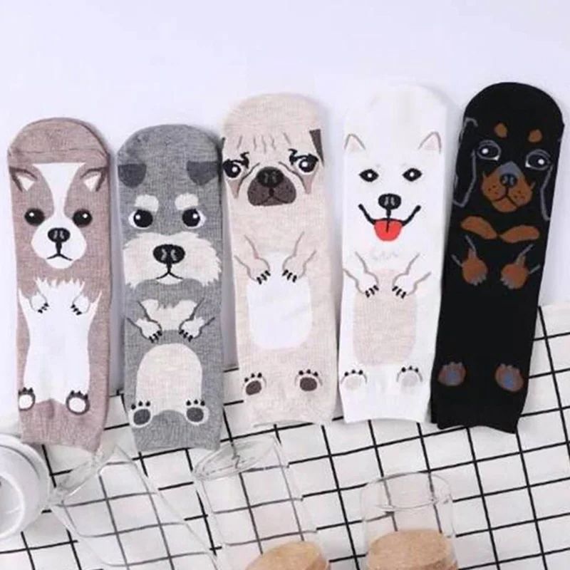 Lot de 5 paires de chaussettes - Cotton Crew Sock Pack avis et prix